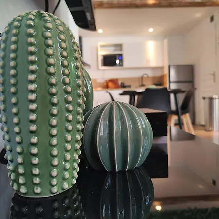 Jungle Climatise Centre Nîmes