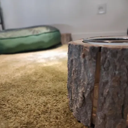 Jungle Climatise Centre * Nîmes