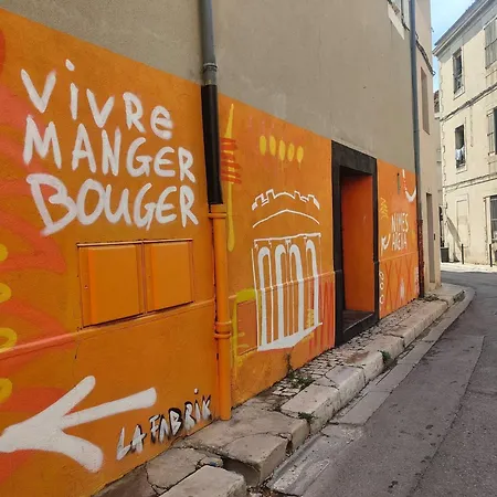 Jungle Climatise Centre Daire *