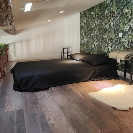 Jungle Climatise Centre Nîmes