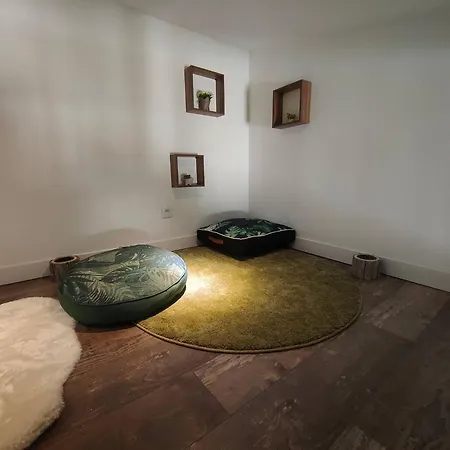 Jungle Climatise Centre * Nîmes