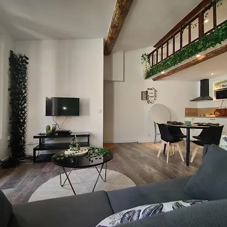 Jungle Climatise Centre Nîmes