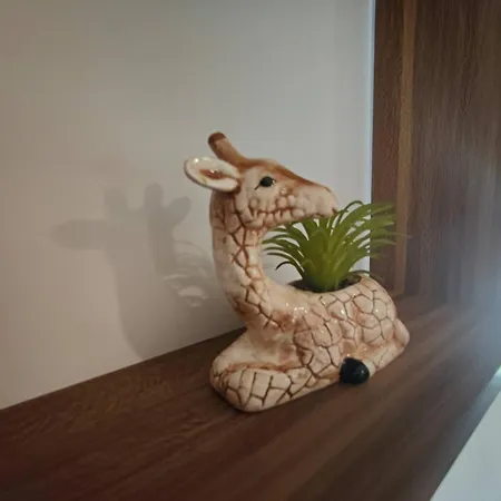 Jungle Climatise Centre Daire