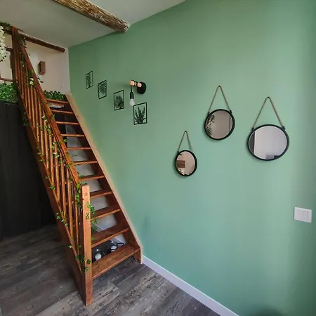 Jungle Climatise Centre Daire *