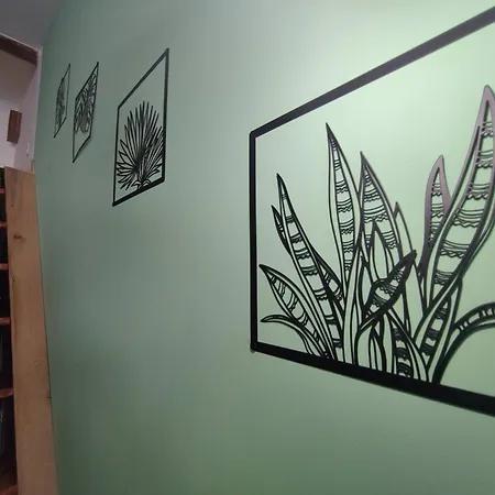 Jungle Climatise Centre Nîmes