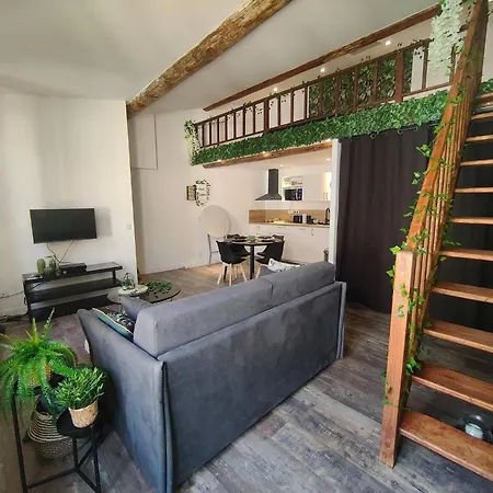 Apartamento Jungle Climatise Centre *
