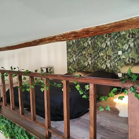 Jungle Climatise Centre * Νιμ