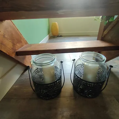 Jungle Climatise Centre Daire Nîmes