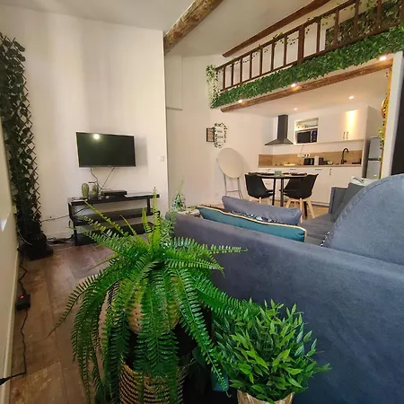 Jungle Climatise Centre Διαμέρισμα *