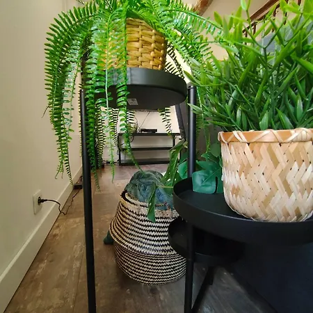 Daire Jungle Climatise Centre