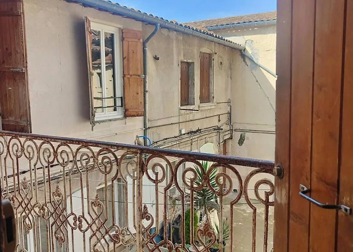 Jungle Climatise Centre Nîmes