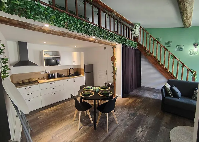 Appartement Jungle Climatise Centre *