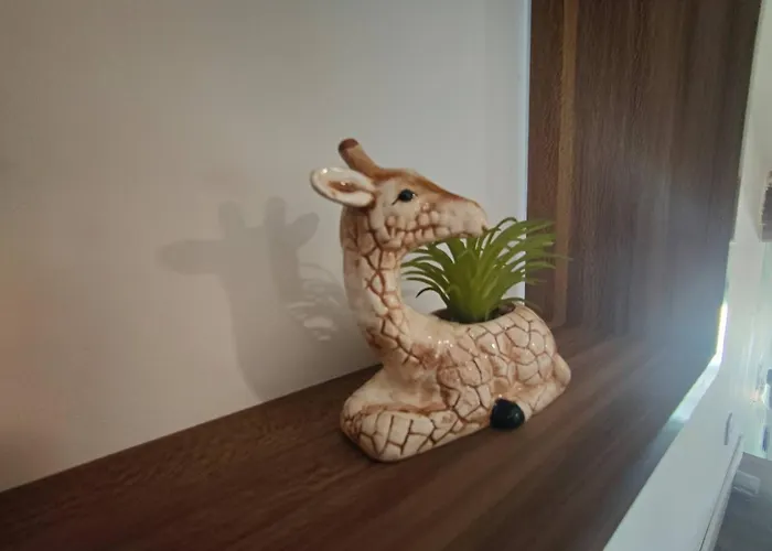 Jungle Climatise Centre Διαμέρισμα