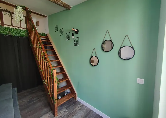 Jungle Climatise Centre Διαμέρισμα *