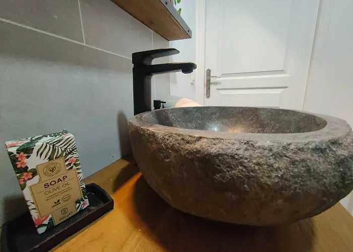 Jungle Climatise Centre Appartement Nîmes