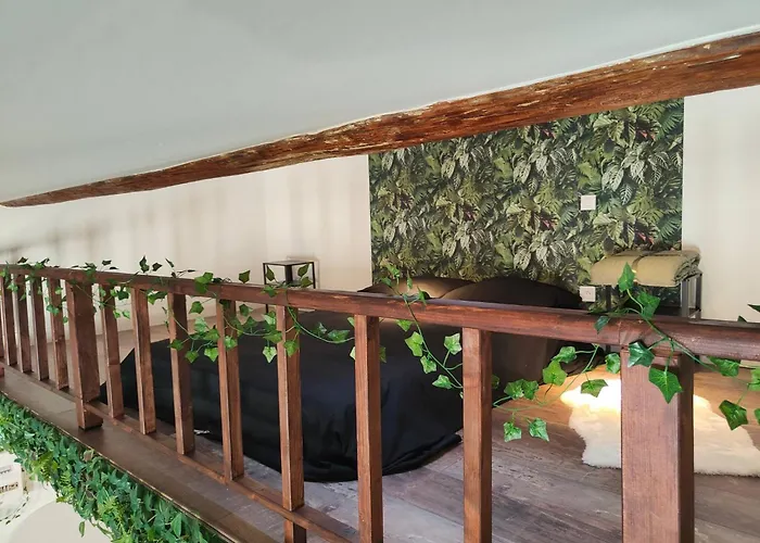 Jungle Climatise Centre * Νιμ