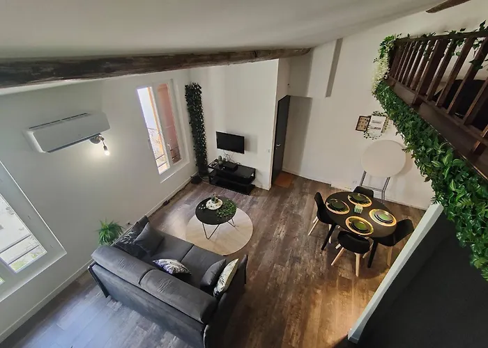 Jungle Climatise Centre Appartement
