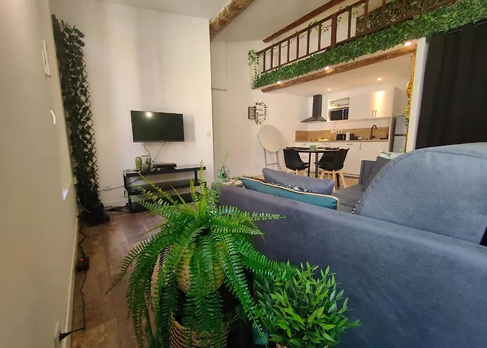 Jungle Climatise Centre Διαμέρισμα *