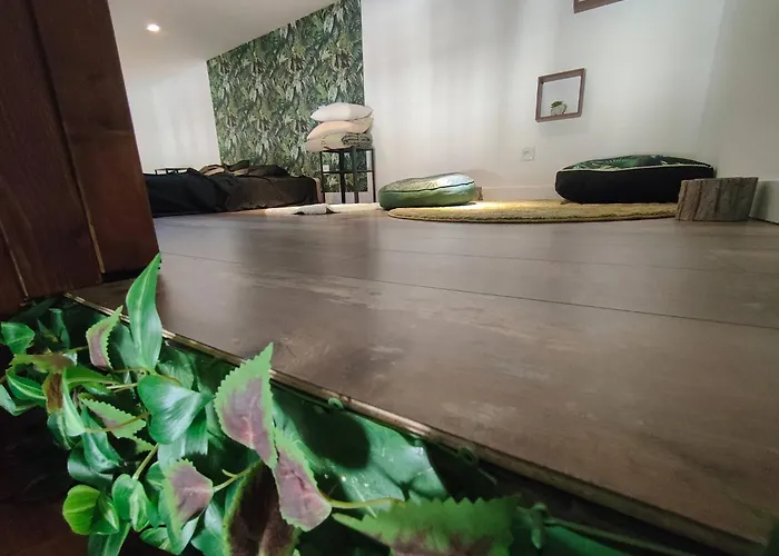Jungle Climatise Centre Appartement Nîmes